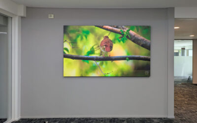 INTERVISION AUDIOVISUEEL GRONINGEN